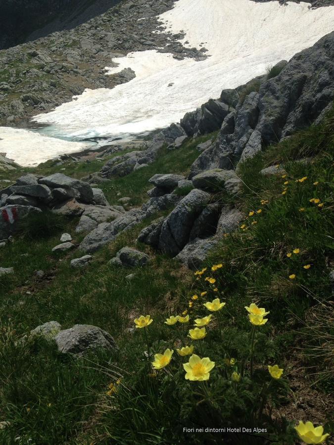Hotel Des Alpes フォッポロ エクステリア 写真