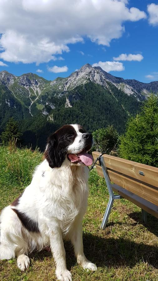 Hotel Des Alpes フォッポロ エクステリア 写真